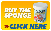 Buy The Bad Air Sponge For Odor Removal